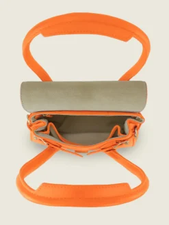 Colette Xs Sorbet