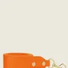Labandouliere Sorbet