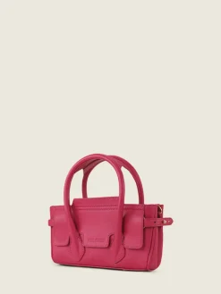 Madeleine Xs Sorbet